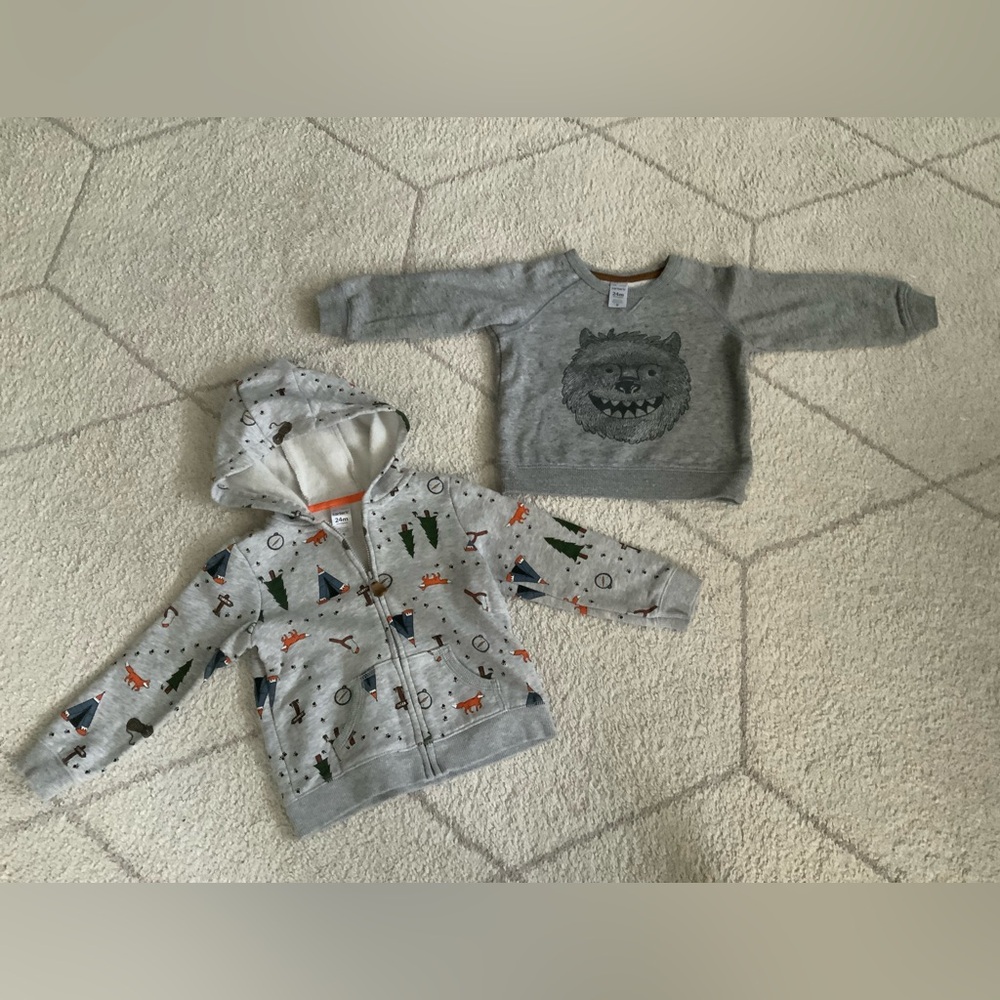 Carter's Kids Sweatshirt and Hoodie Set